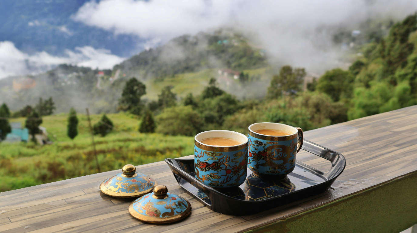 Arabica Coffee Varieties Compared: Typica to Geisha