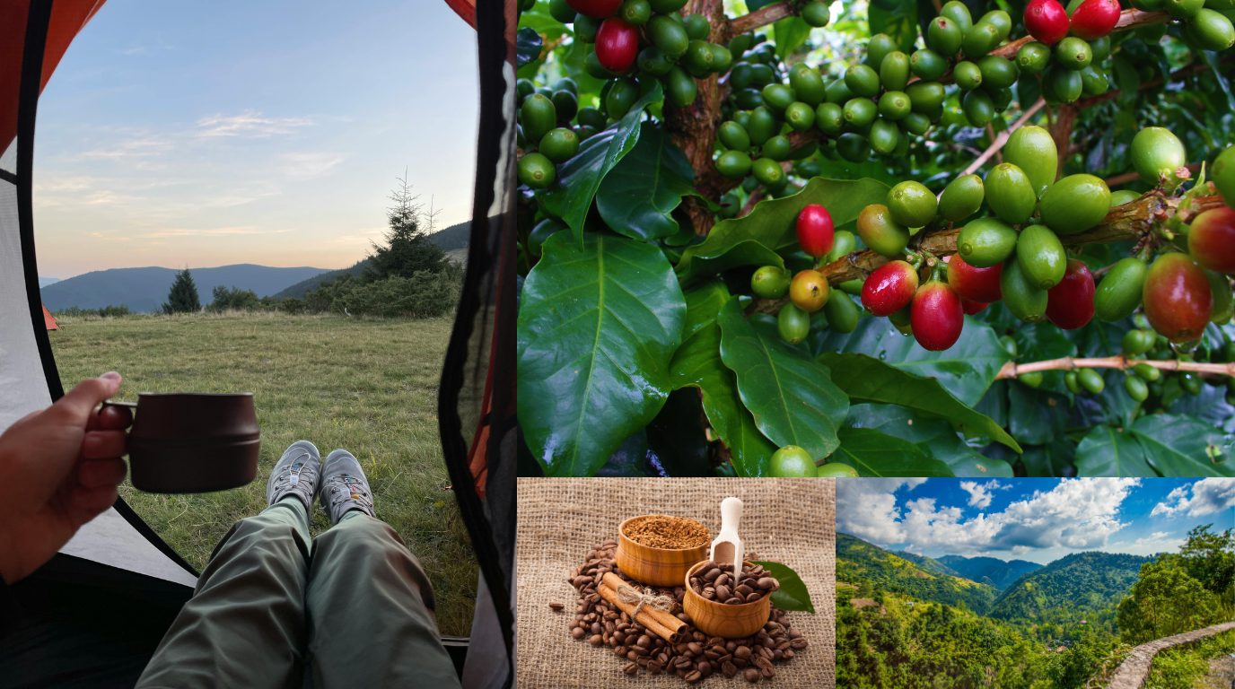 Blue Mountain vs Colombian Coffee: Key Differences